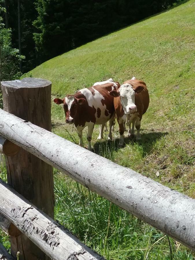 Luech Da Morgnun Villa San Vigilio Di Marebbe Kültér fotó