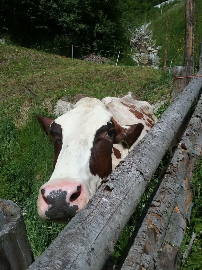 Luech Da Morgnun Villa San Vigilio Di Marebbe Kültér fotó